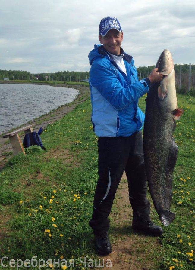 Платная рыбалка в приволжском федеральном округе россии, каталог платных водоемов