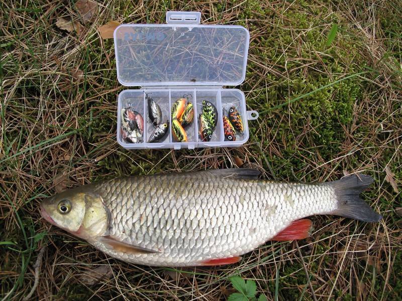 Рыбалка в октябре – нюансы, снасти, рыба | уклейка. энциклопедия ловли.