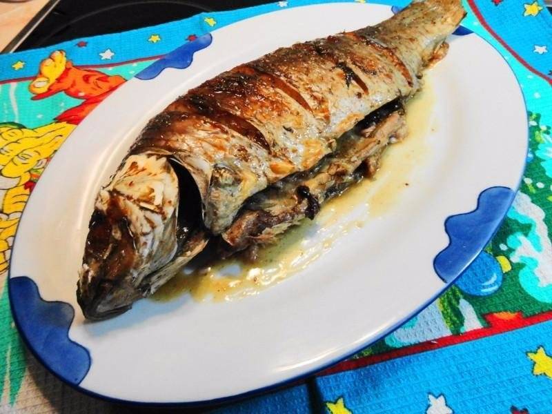 Сазан в духовке - самые вкусные рецепты запекания рыбы