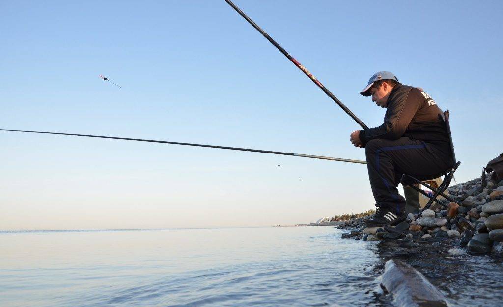 Рыболовный календарь для ловли губанов на участке побережья от туапсе до адлера