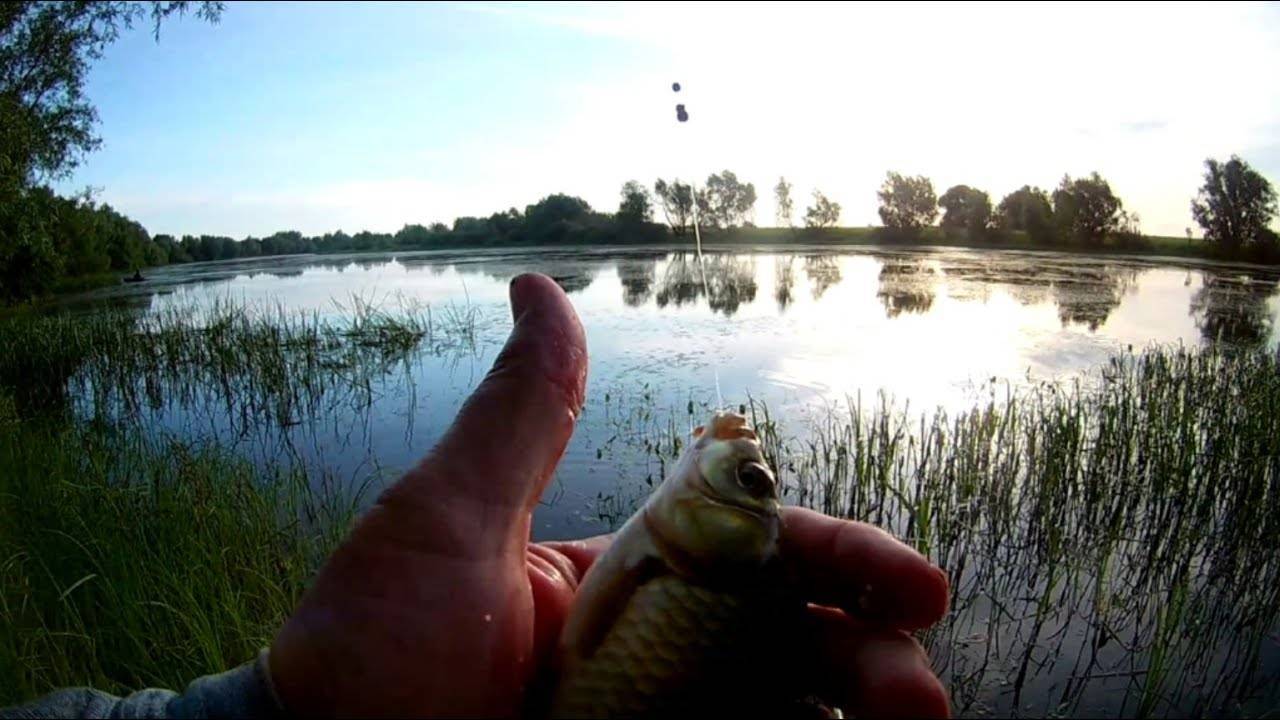Рыбалка в псковской области: особенности ловли на озере жижицкое, але, в реке великая