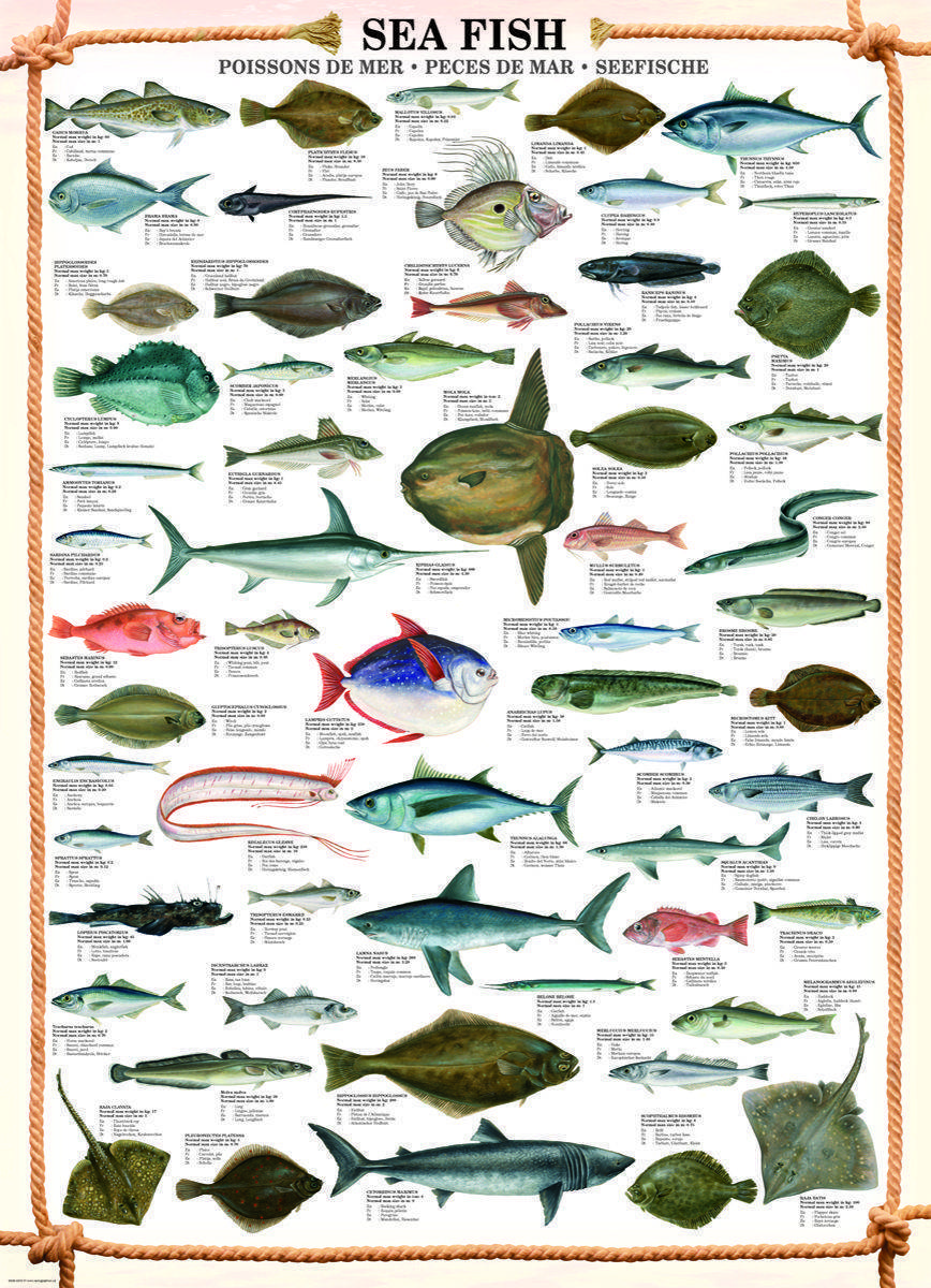 Про рыбалку - секреты рыбной ловли | снасти, приманки и прикормки. активаторы клева. рыболовные узлы