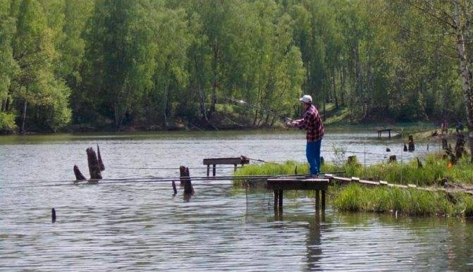Рыбалка в чеховском районе московской области: лучшие места для ловли, какая рыба водится