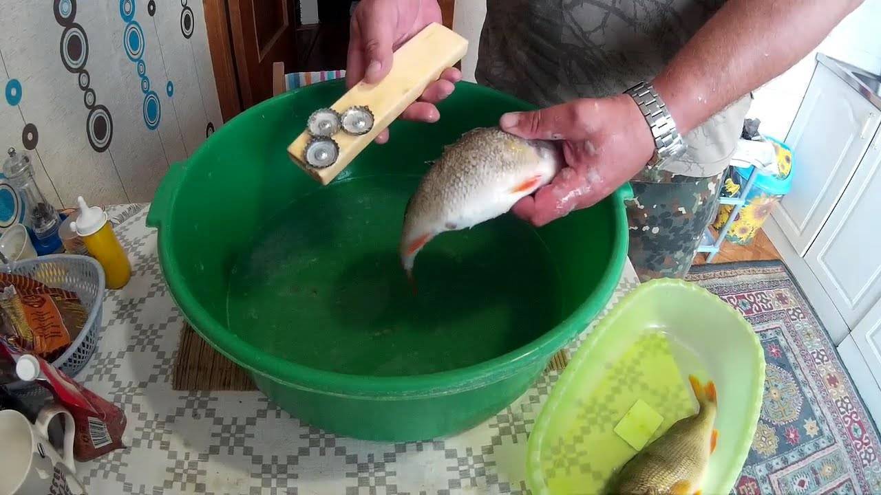 Как почистить рыбу от чешуи быстро. как легко почистить рыбу