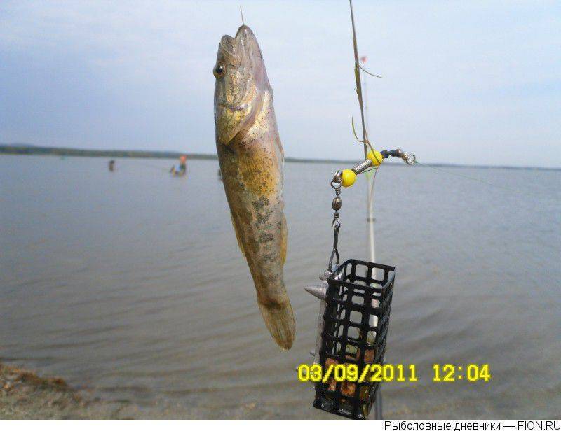 Озеро щелкун (щелкунское). рыбалка в 2020 году, отдых, отзывы, погода. отели рядом, фото, видео, как добраться — туристер. ру