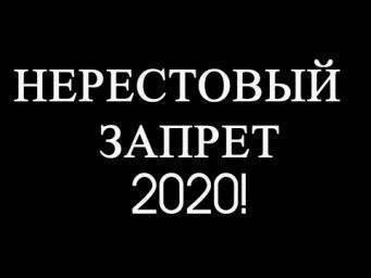 Нерестовый запрет 2020 в ростовской области: сроки и места лова, запреты и штрафы