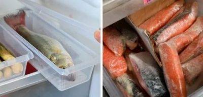 Как хранить рыбу в жару