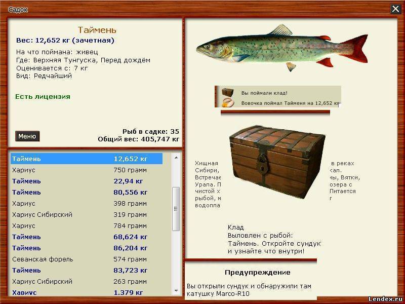 Ловля тайменя в сибири: описание рыбы, где ловить, выбор снастей и приманок