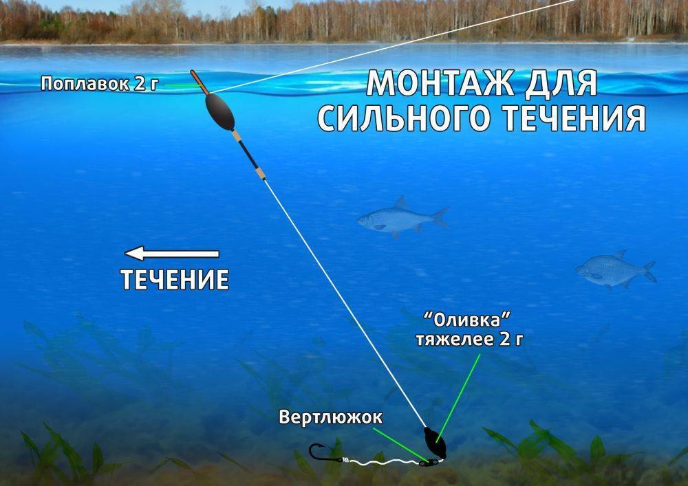 На что ловить плотву – лучшие наживки и приманки