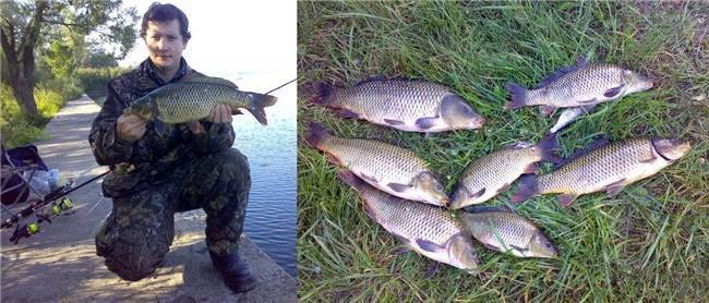 Рыбалка в Воронеже и Воронежской области — базы отдыха