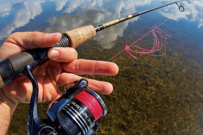Удочки для летней рыбалки: как выбрать, виды, оснастка, приманка, рейтинг лучших удочек