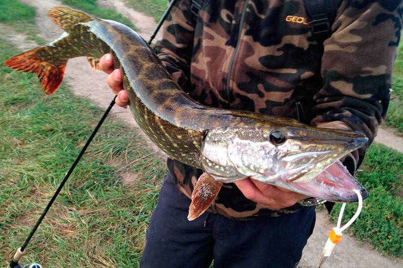 Рыбалка в омской области — обзор водоемов
