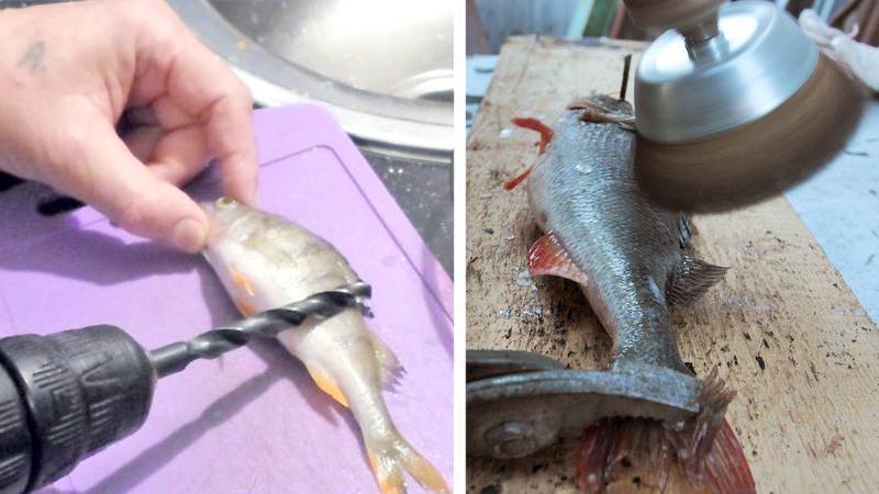 Как почистить рыбу от чешуи дома - самый быстрый и чистый способ