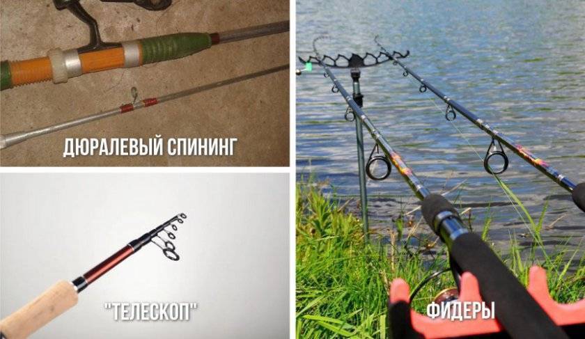 ᐉ техника ловли голавля на фидерную снасть - ✅ ribalka-snasti.ru