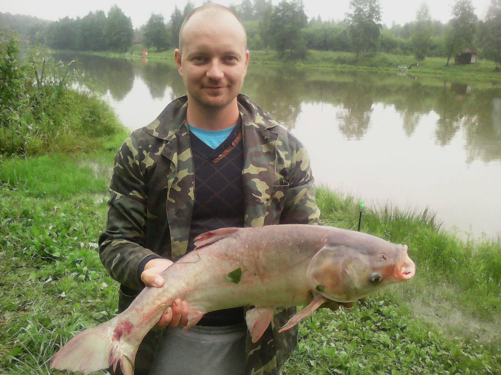 Рыбалка в каширском районе московской области — водоемы, рыбы, снасти и приманки