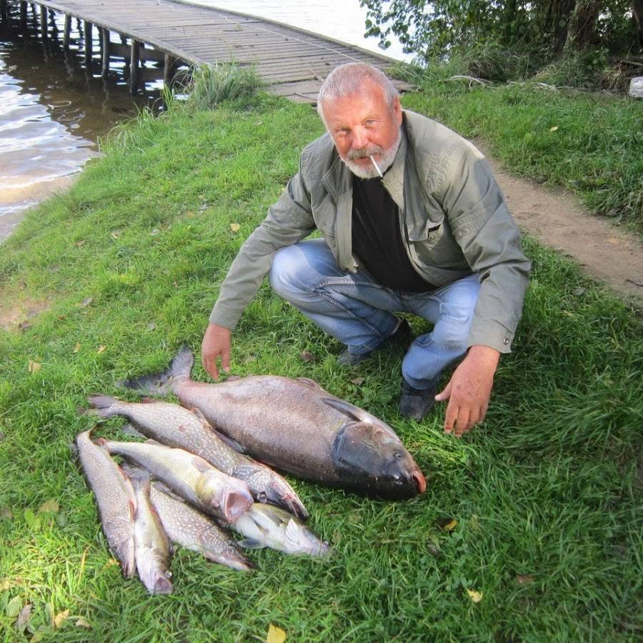 Рыбалка в смоленской области: описание водоемов, виды рыб, советы начинающим