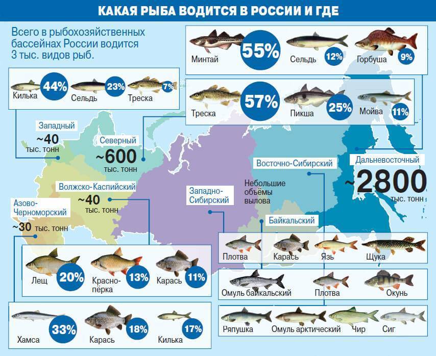 Рыбалка в томской области | (70) карта рыболовных мест