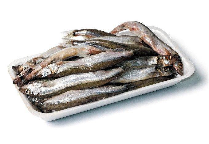 Мойва: калорийность и полезные свойства рыбы | food and health