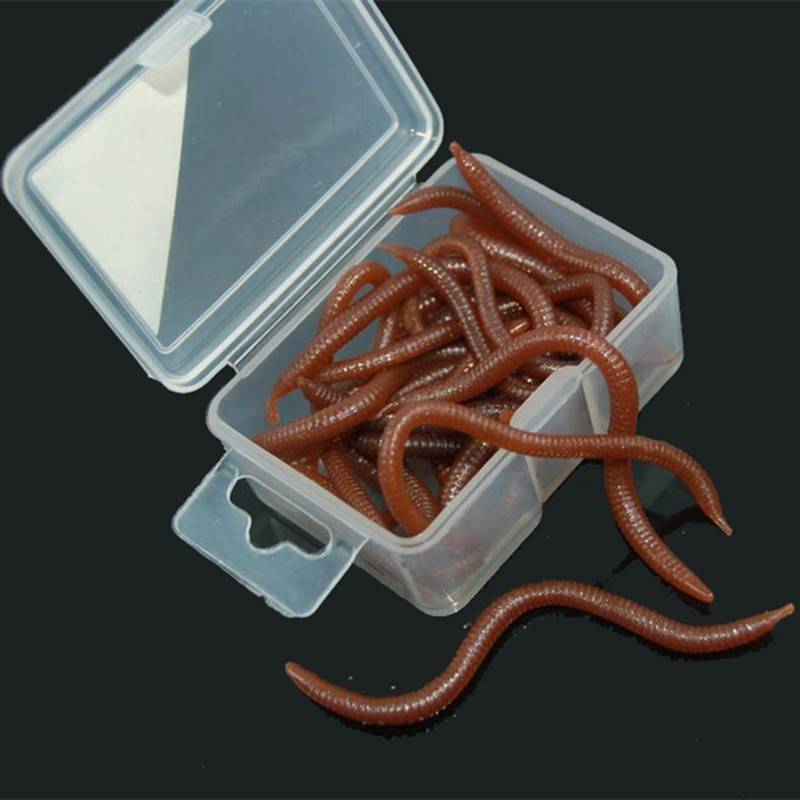 Разведение навозного червя в домашних условиях