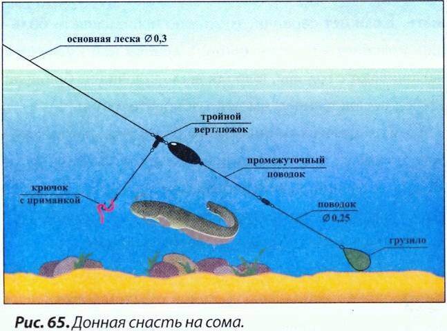 Firstfisher.ru – интернет-журнал о рыбалке и рыболовах.  ловим сома на донку с лодки