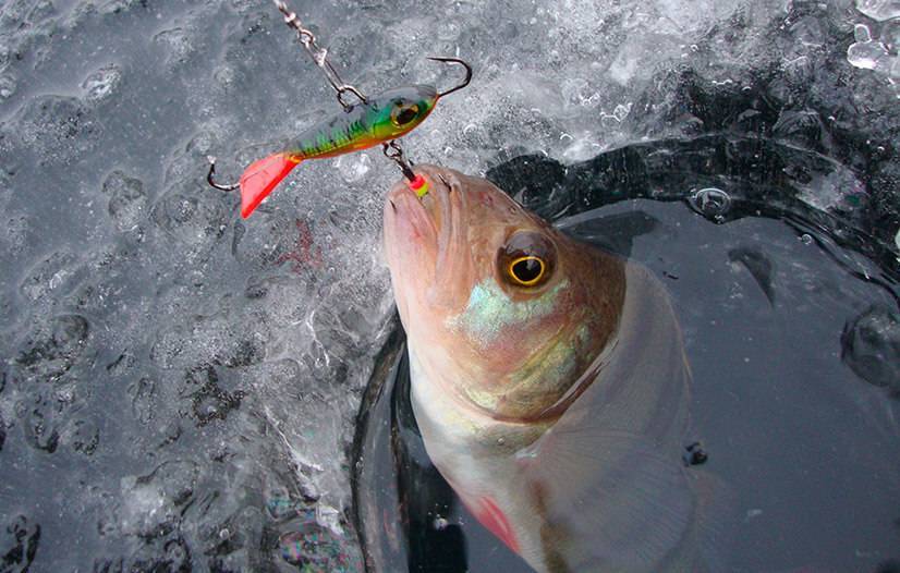Ловля щуки на балансир зимой - на рыбалке!