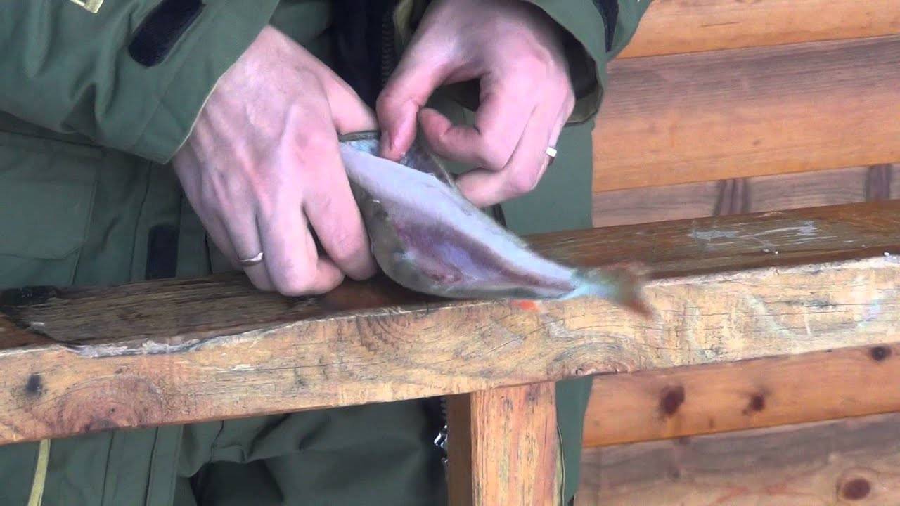 Как быстро чистить морского окуня от чешуи