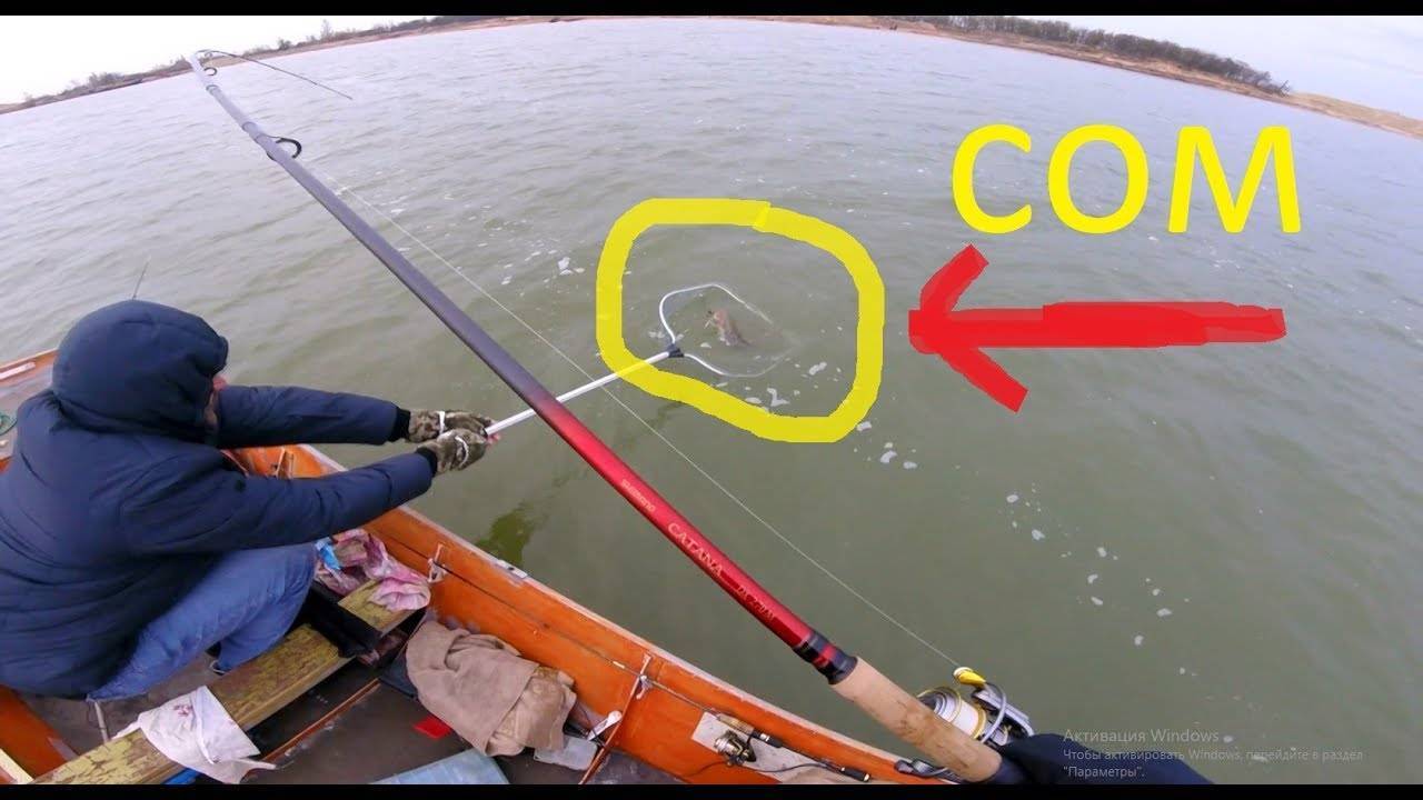Ловля сома на спиннинг: особенности рыбалки с берега и лодки