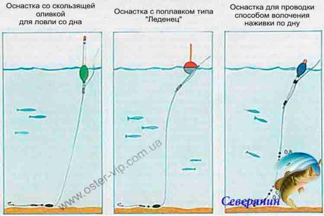 7 лучших наживок для ловли карася