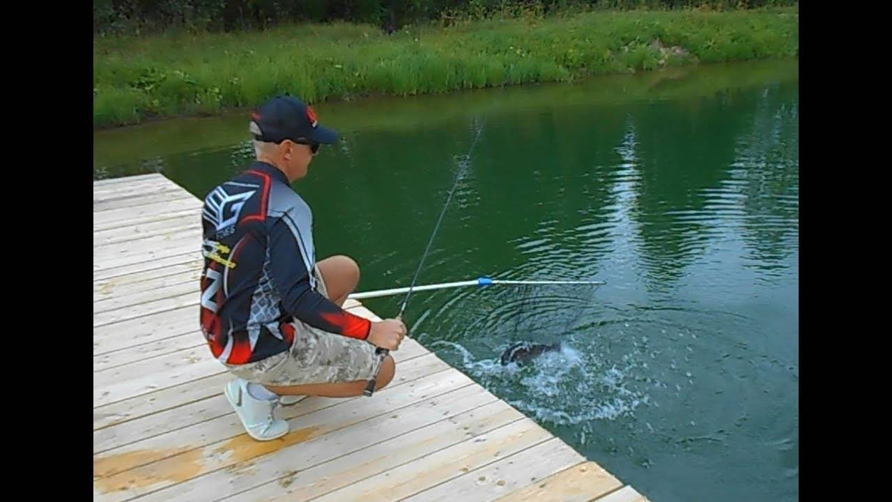 Правильный спиннинг для ловли форели — залог удачной рыбалки