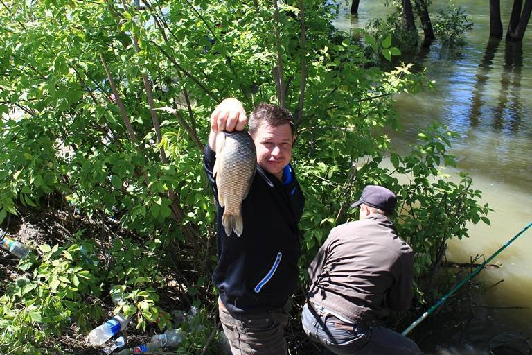 Рыбалка в омске и омской области — какая рыба водится, лучшие рыбные места