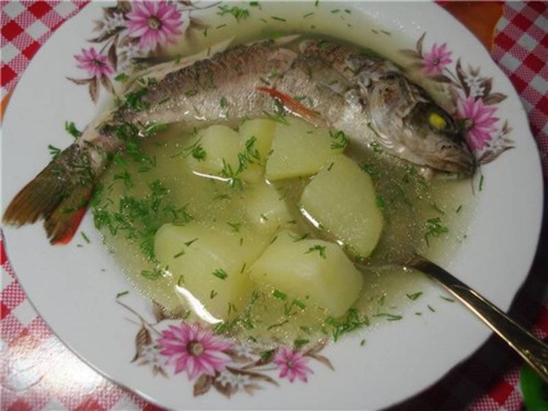 Уха из морской рыбы: рецепты приготовления в домашних условиях . милая я