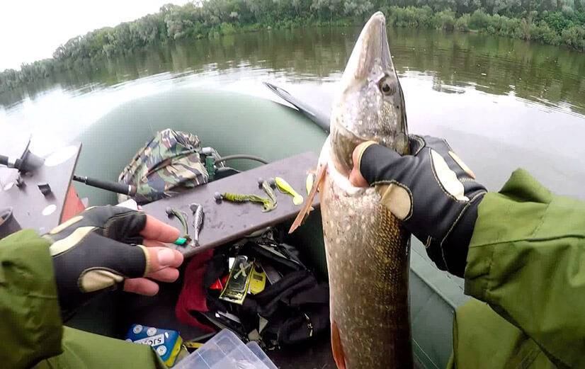 Рыбалка в рязанской области - озера, реки, водохранилища, платные места