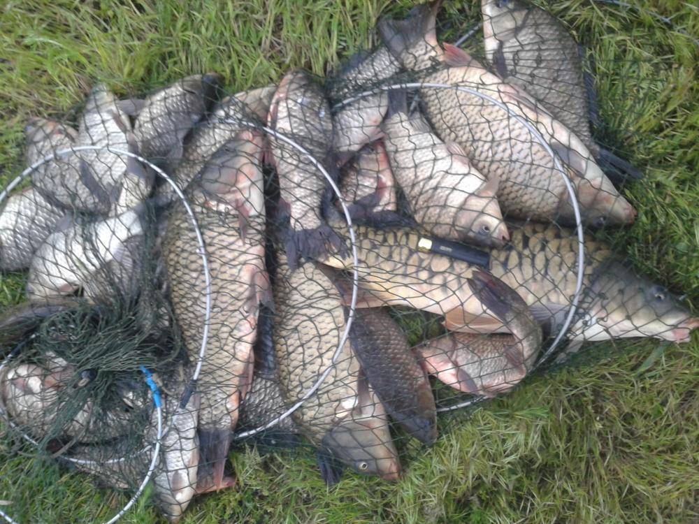 Где ловить рыбу в ростовской области — обзор водоемов