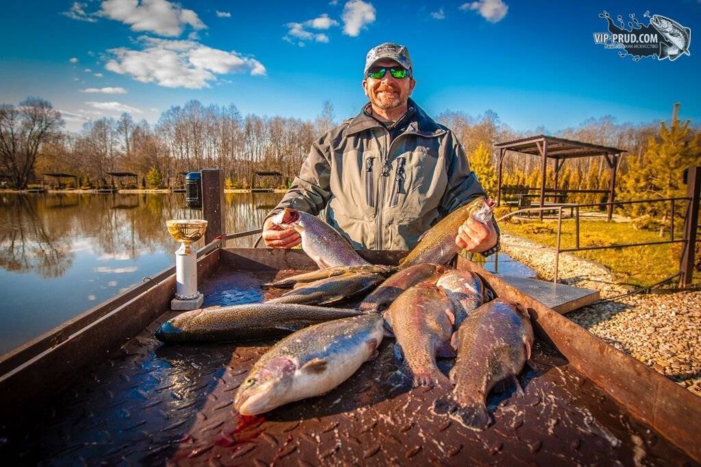 Платная рыбалка в «завидное» московской области
