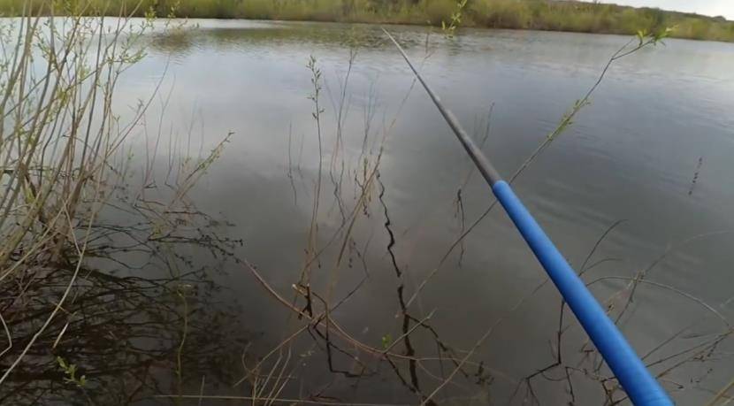 Ловля плотвы весной на поплавочную дочку: видео о том, как ловить на малых реках в апреле