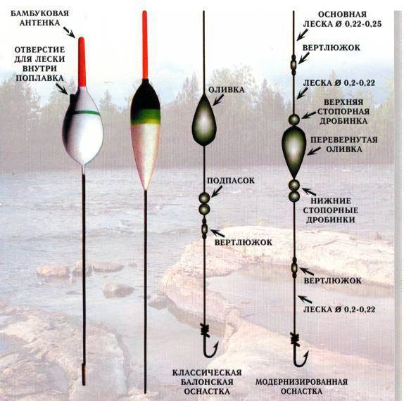 Маховая удочка - особенности ловли на маховые удочки