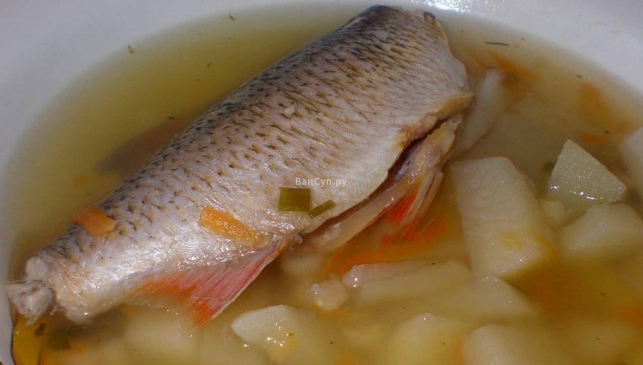 Уха рыбная – кулинарный рецепт