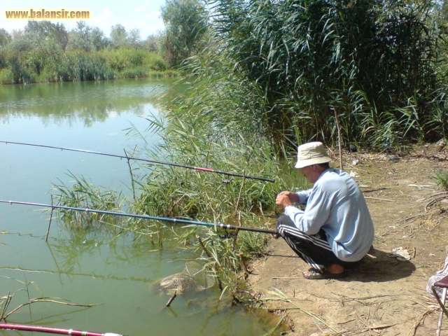 Тольятти - календарь рыболова. рыбалка в тольятти, график клёва рыбы.