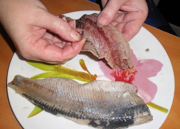 Как очистить щуку от слизи. полезные свойства рыбы