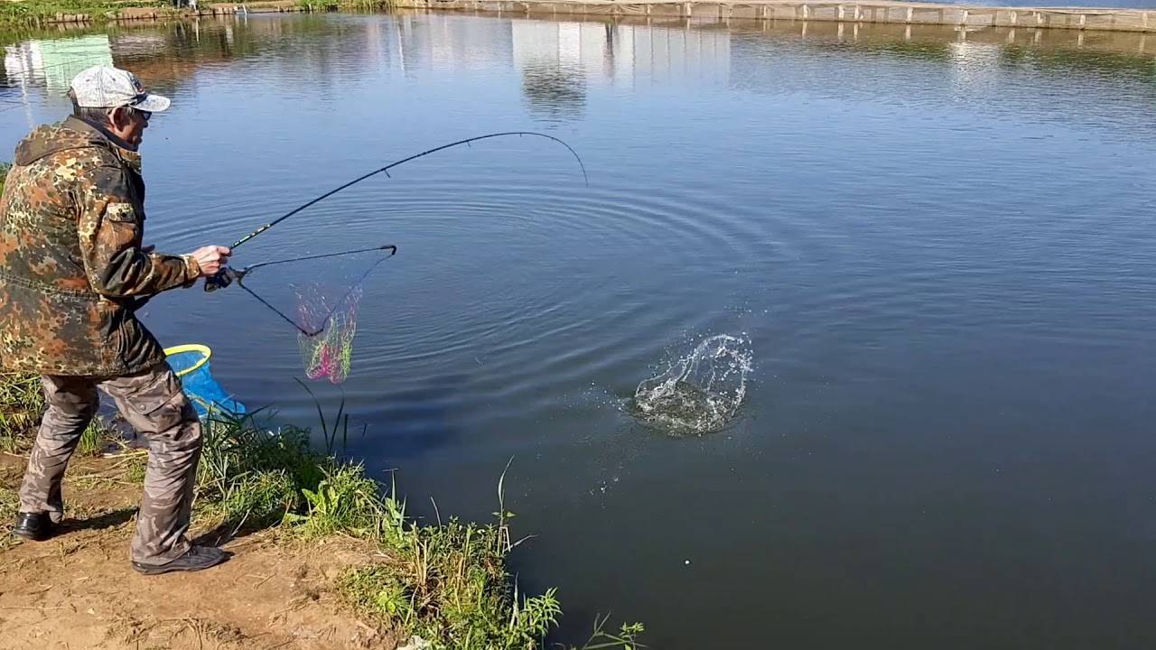 Рыбалка в омской области — обзор водоемов