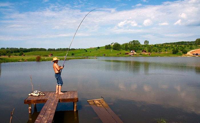 15 лучших рыболовных мест воронежской области. платные и бесплатные | животный мир