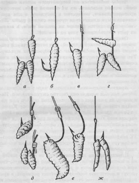 Как правильно насаживать червя на крючок. виды червей и способы их насадки на крючки :: syl.ru