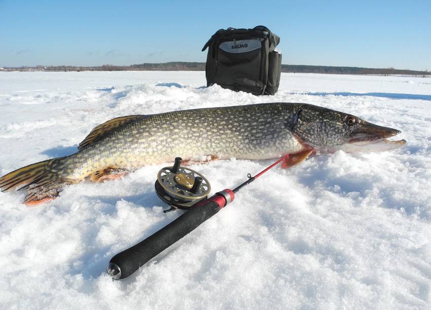 Зимняя рыбалка на балансир – как правильно подобрать наживку