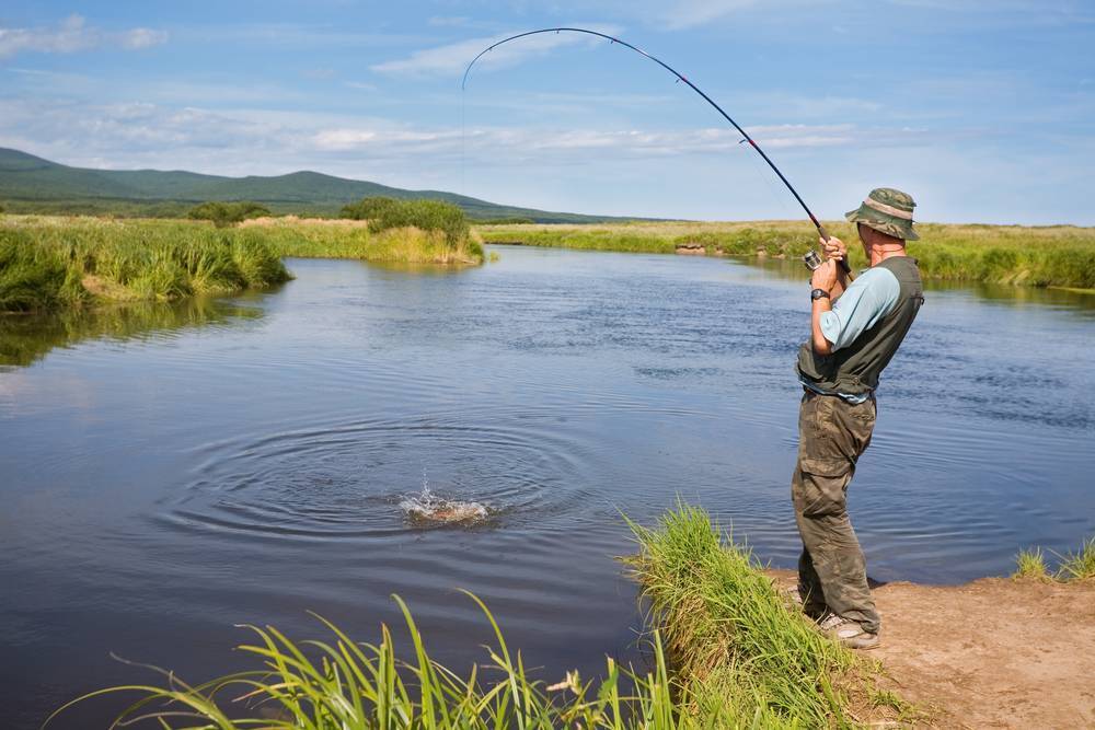 Пруды в саратовской области для платной рыбалки