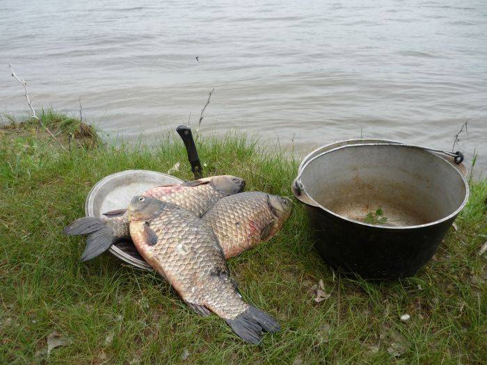 Рыбалка в астраханской области: лучшие места и способы ловли