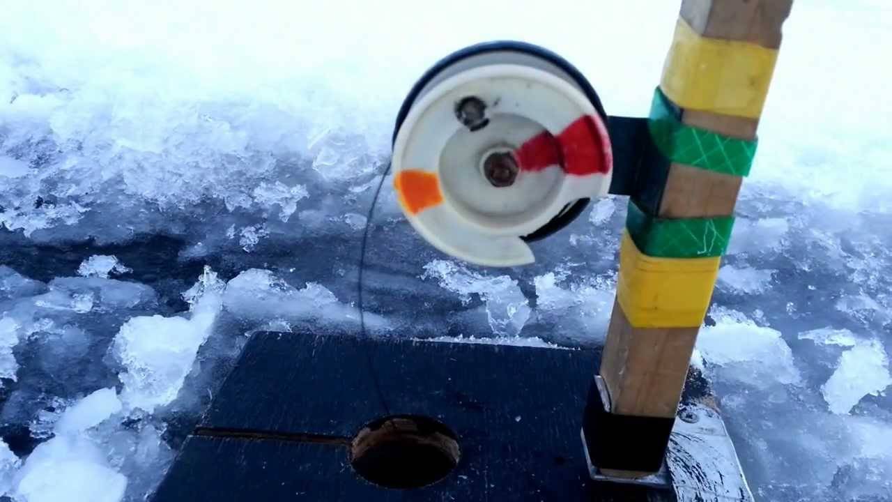 Как ловить судака зимой на поставушки?