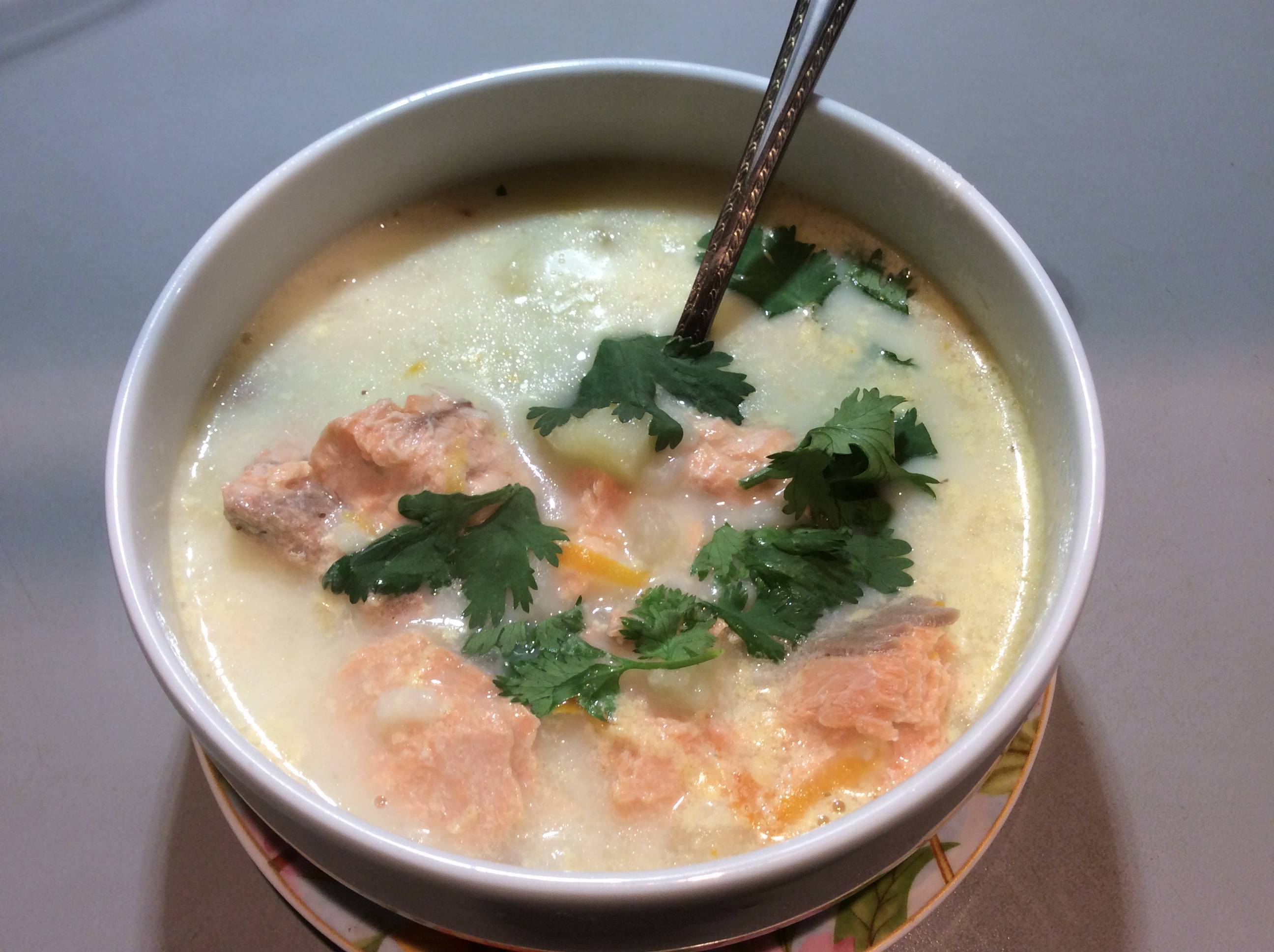 Уха из форели - лучшие рецепты вкусного рыбного супа