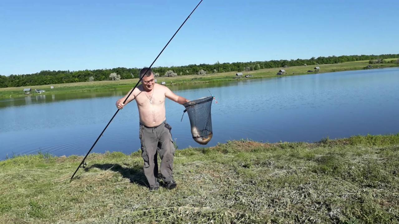 Места для рыбалки в саратовской области – платная и бесплатная рыбалка!