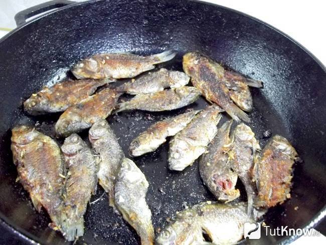Карась жареный на сковороде – рецепт вкусной крупной рыбы с хрустящей корочкой