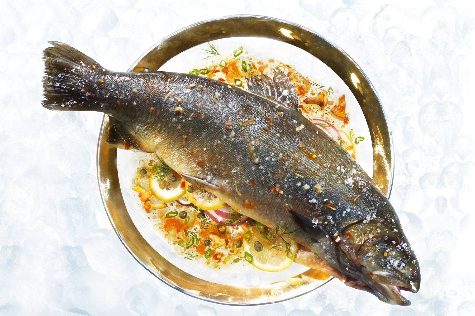 Голец что за рыба как готовить - простые пошаговые рецепты с фотографиями